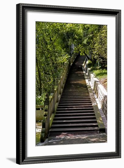 China 10MKm2 Collection - Stairway in the Forest-Philippe Hugonnard-Framed Photographic Print