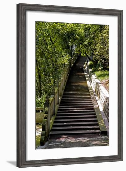 China 10MKm2 Collection - Stairway in the Forest-Philippe Hugonnard-Framed Photographic Print