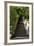 China 10MKm2 Collection - Stairway in the Forest-Philippe Hugonnard-Framed Photographic Print