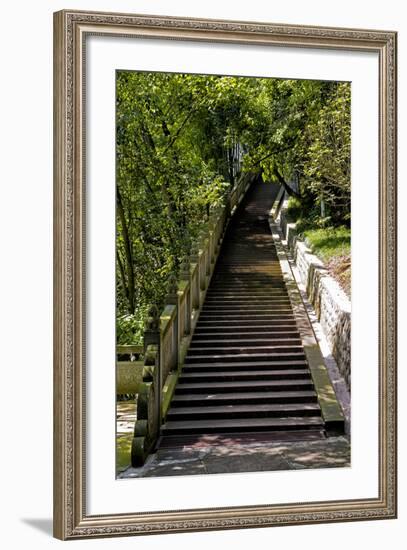 China 10MKm2 Collection - Stairway in the Forest-Philippe Hugonnard-Framed Photographic Print