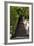 China 10MKm2 Collection - Stairway in the Forest-Philippe Hugonnard-Framed Photographic Print