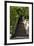 China 10MKm2 Collection - Stairway in the Forest-Philippe Hugonnard-Framed Photographic Print