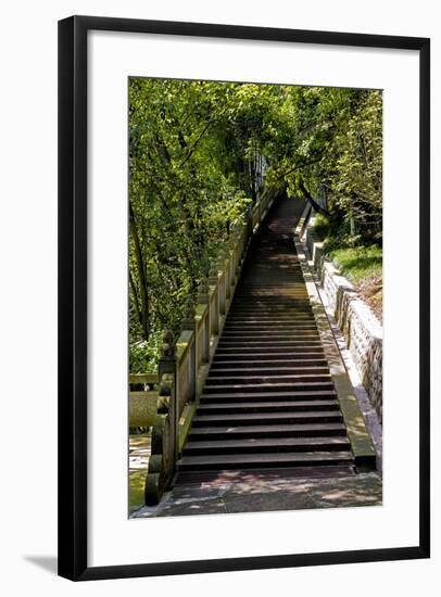 China 10MKm2 Collection - Stairway in the Forest-Philippe Hugonnard-Framed Photographic Print