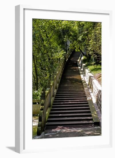 China 10MKm2 Collection - Stairway in the Forest-Philippe Hugonnard-Framed Photographic Print