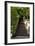 China 10MKm2 Collection - Stairway in the Forest-Philippe Hugonnard-Framed Photographic Print