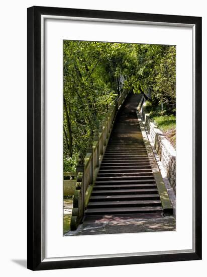 China 10MKm2 Collection - Stairway in the Forest-Philippe Hugonnard-Framed Photographic Print