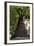 China 10MKm2 Collection - Stairway in the Forest-Philippe Hugonnard-Framed Photographic Print