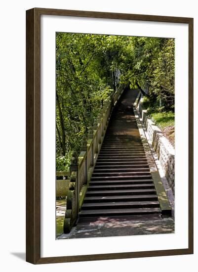 China 10MKm2 Collection - Stairway in the Forest-Philippe Hugonnard-Framed Photographic Print