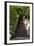 China 10MKm2 Collection - Stairway in the Forest-Philippe Hugonnard-Framed Photographic Print