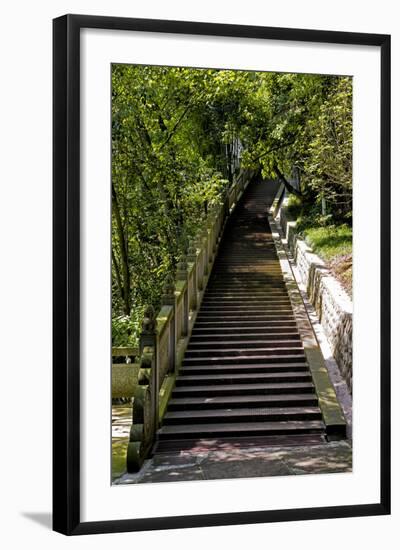 China 10MKm2 Collection - Stairway in the Forest-Philippe Hugonnard-Framed Photographic Print