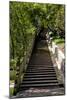 China 10MKm2 Collection - Stairway in the Forest-Philippe Hugonnard-Mounted Photographic Print