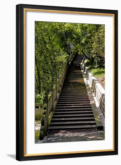 China 10MKm2 Collection - Stairway in the Forest-Philippe Hugonnard-Framed Photographic Print