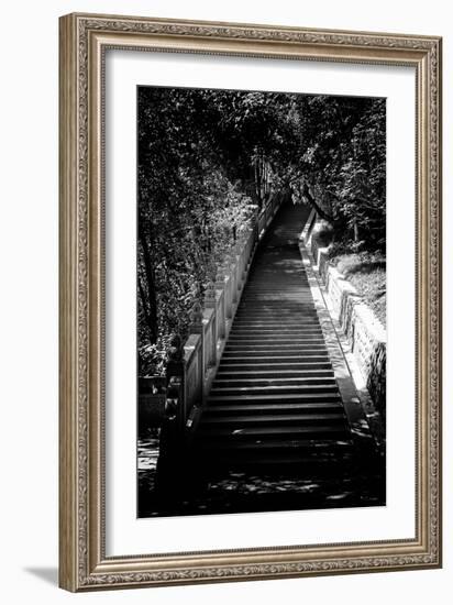 China 10MKm2 Collection - Stairway in the Forest-Philippe Hugonnard-Framed Photographic Print