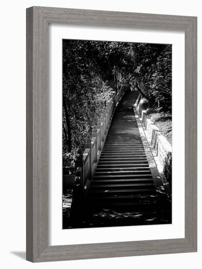 China 10MKm2 Collection - Stairway in the Forest-Philippe Hugonnard-Framed Photographic Print