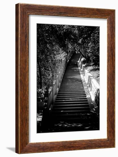 China 10MKm2 Collection - Stairway in the Forest-Philippe Hugonnard-Framed Photographic Print