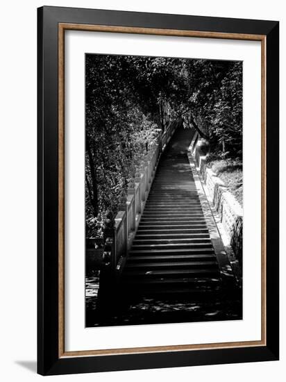 China 10MKm2 Collection - Stairway in the Forest-Philippe Hugonnard-Framed Photographic Print