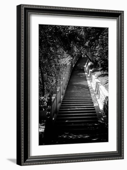 China 10MKm2 Collection - Stairway in the Forest-Philippe Hugonnard-Framed Photographic Print