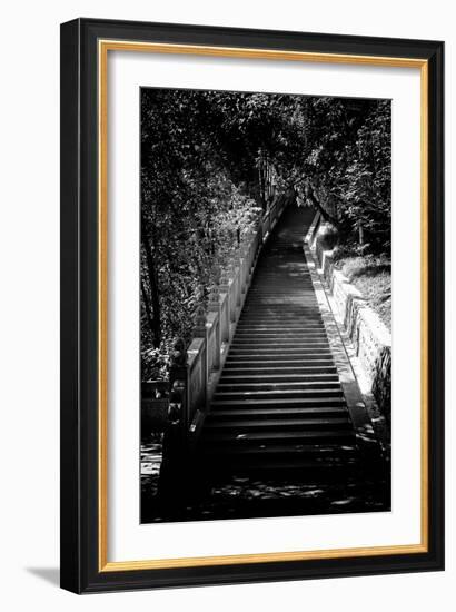 China 10MKm2 Collection - Stairway in the Forest-Philippe Hugonnard-Framed Photographic Print