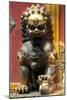 China 10MKm2 Collection - Statue of Imperial Palace of Forbidden City-Philippe Hugonnard-Mounted Photographic Print