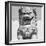 China 10MKm2 Collection - Stone Lion Statue-Philippe Hugonnard-Framed Photographic Print