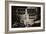 China 10MKm2 Collection - Street Signs-Philippe Hugonnard-Framed Photographic Print