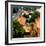 China 10MKm2 Collection - Summer Palace Architecture-Philippe Hugonnard-Framed Photographic Print