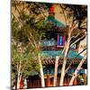 China 10MKm2 Collection - Temple Archtecture at sunset-Philippe Hugonnard-Mounted Photographic Print