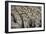 China 10MKm2 Collection - Terracotta Army-Philippe Hugonnard-Framed Photographic Print