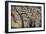 China 10MKm2 Collection - Terracotta Army-Philippe Hugonnard-Framed Photographic Print