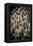 China 10MKm2 Collection - Terracotta Army-Philippe Hugonnard-Framed Premier Image Canvas