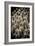 China 10MKm2 Collection - Terracotta Army-Philippe Hugonnard-Framed Photographic Print