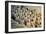 China 10MKm2 Collection - Terracotta Army-Philippe Hugonnard-Framed Photographic Print