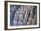 China 10MKm2 Collection - Terracotta Army-Philippe Hugonnard-Framed Photographic Print