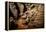 China 10MKm2 Collection - Terracotta Army-Philippe Hugonnard-Framed Premier Image Canvas