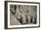 China 10MKm2 Collection - Terracotta Army-Philippe Hugonnard-Framed Photographic Print