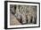 China 10MKm2 Collection - Terracotta Army-Philippe Hugonnard-Framed Photographic Print