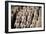 China 10MKm2 Collection - Terracotta Army-Philippe Hugonnard-Framed Photographic Print