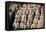 China 10MKm2 Collection - Terracotta Army-Philippe Hugonnard-Framed Premier Image Canvas