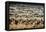 China 10MKm2 Collection - Terracotta Army-Philippe Hugonnard-Framed Premier Image Canvas