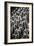 China 10MKm2 Collection - Terracotta Warriors-Philippe Hugonnard-Framed Photographic Print