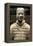 China 10MKm2 Collection - Terracotta Warriors-Philippe Hugonnard-Framed Premier Image Canvas