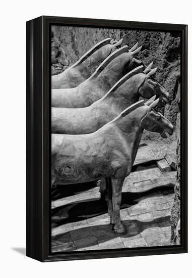 China 10MKm2 Collection - Terracotta Warriors-Philippe Hugonnard-Framed Premier Image Canvas