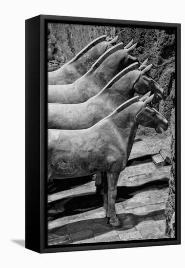 China 10MKm2 Collection - Terracotta Warriors-Philippe Hugonnard-Framed Premier Image Canvas