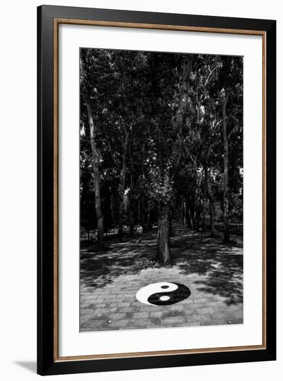 China 10MKm2 Collection - Yin Yang-Philippe Hugonnard-Framed Photographic Print