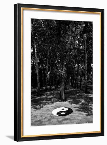 China 10MKm2 Collection - Yin Yang-Philippe Hugonnard-Framed Photographic Print