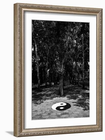 China 10MKm2 Collection - Yin Yang-Philippe Hugonnard-Framed Photographic Print