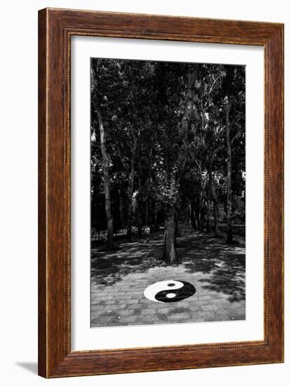 China 10MKm2 Collection - Yin Yang-Philippe Hugonnard-Framed Photographic Print