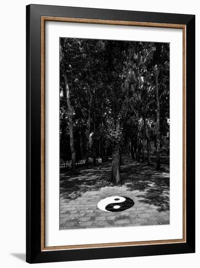 China 10MKm2 Collection - Yin Yang-Philippe Hugonnard-Framed Photographic Print