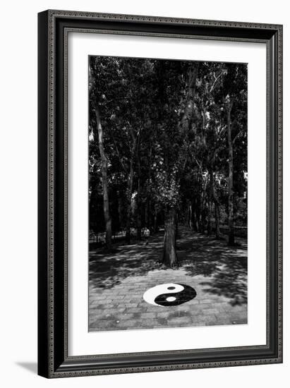 China 10MKm2 Collection - Yin Yang-Philippe Hugonnard-Framed Photographic Print