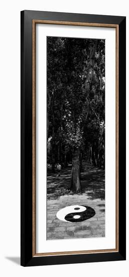 China 10MKm2 Collection - Yin Yang-Philippe Hugonnard-Framed Photographic Print